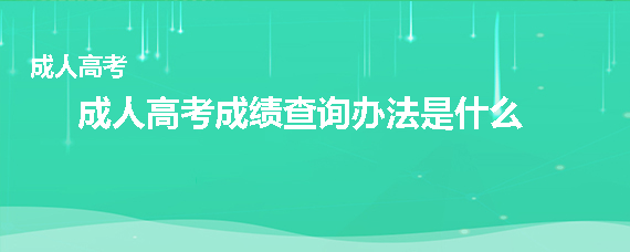 成人高考成绩查询办法